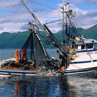 Photo of fishing boat